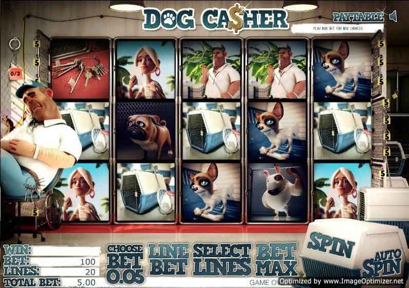 801 dog casher 1335728107