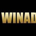 Winaday Casino Test