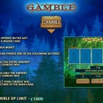Fairy Magic Gamble Feature