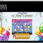Black Lotus Casino horizontal