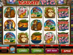 Karate Pig Test