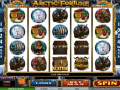 Arctic Fortune Test