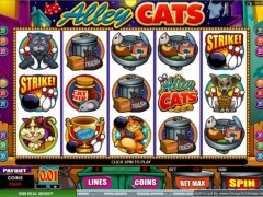 Alley Cats Test