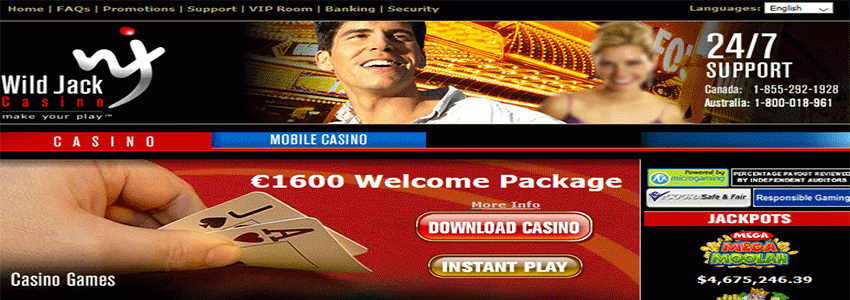 wild jack casino cover